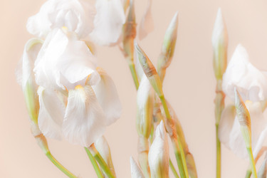 Similar image 8219093