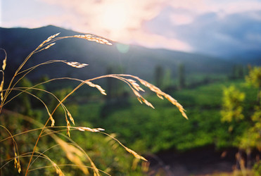 Similar image 8219104