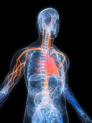 Similar image 8219118