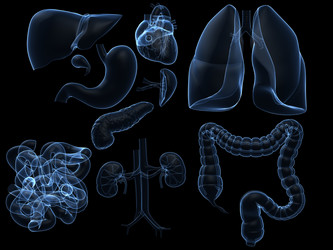 Similar image 8219129