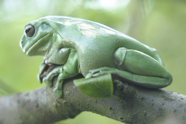 Similar image 8219142