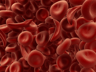 Similar image 8219173