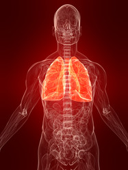 Similar image 8219243