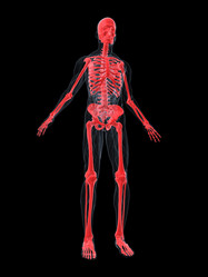 Similar image 8219268