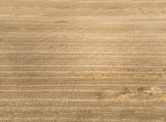 Similar image 8219316