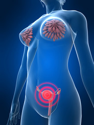 Similar image 8219318