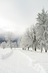 Similar image 8219323