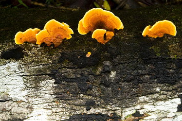 Similar image 8219360