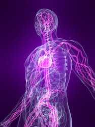 Similar image 8219370