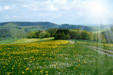 Similar image 8219388