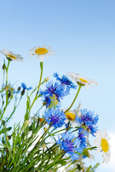 Similar image 8219499