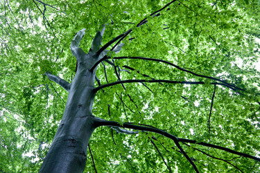 Similar image 8219584