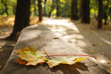 Similar image 8219586