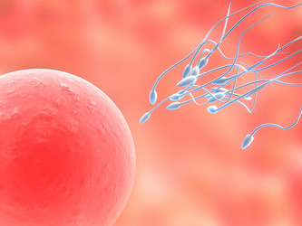 Similar image 8219608