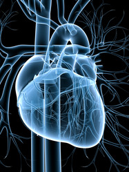 Similar image 8219625