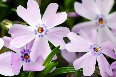 Similar image 8219719