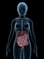 Similar image 8219745