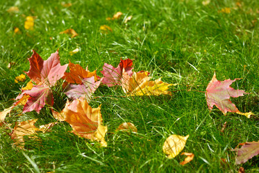 Similar image 8219768