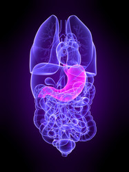 Similar image 8219799