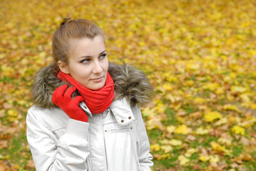 Similar image 8219801