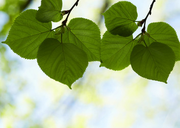 Similar image 8219868