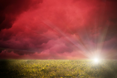 Similar image 8219914