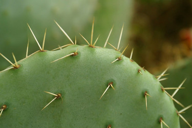 Similar image 8219937