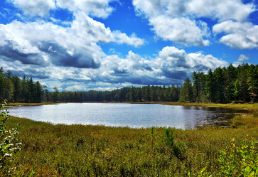 Similar image 8219947