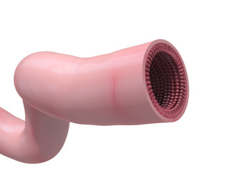 Similar image 8219970