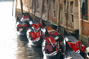 Similar image 8220019