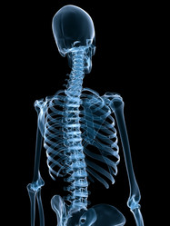 Similar image 8220077