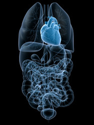 Similar image 8220135