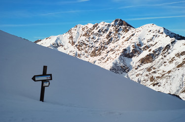 Similar image 8220164