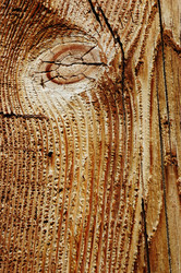 Similar image 8220181