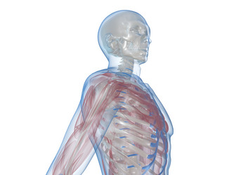 Similar image 8220194