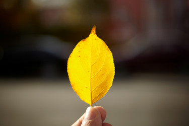 Similar image 8220237