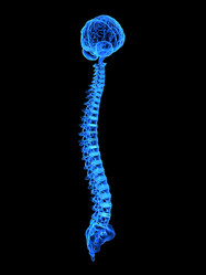 Similar image 8220285