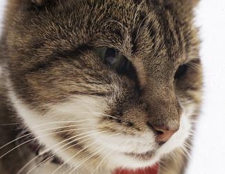 Similar image 8220291