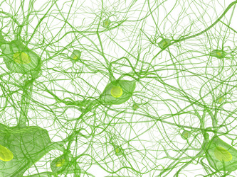 Similar image 8220376