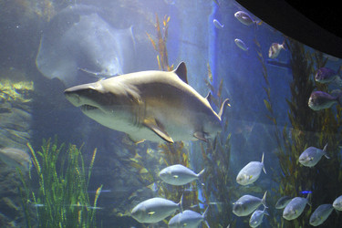 Similar image 8220377