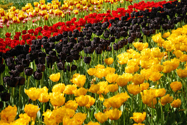 Similar image 8220385