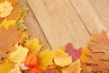 Similar image 8220440