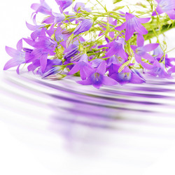 Similar image 8220454