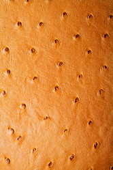 Similar image 8220470