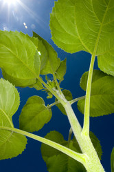 Similar image 8220483