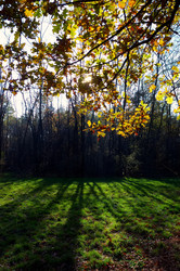 Similar image 8220503