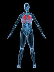 Similar image 8220512