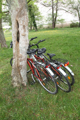 Similar image 8220530