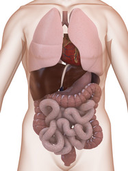 Similar image 8220532