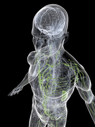 Similar image 8220598